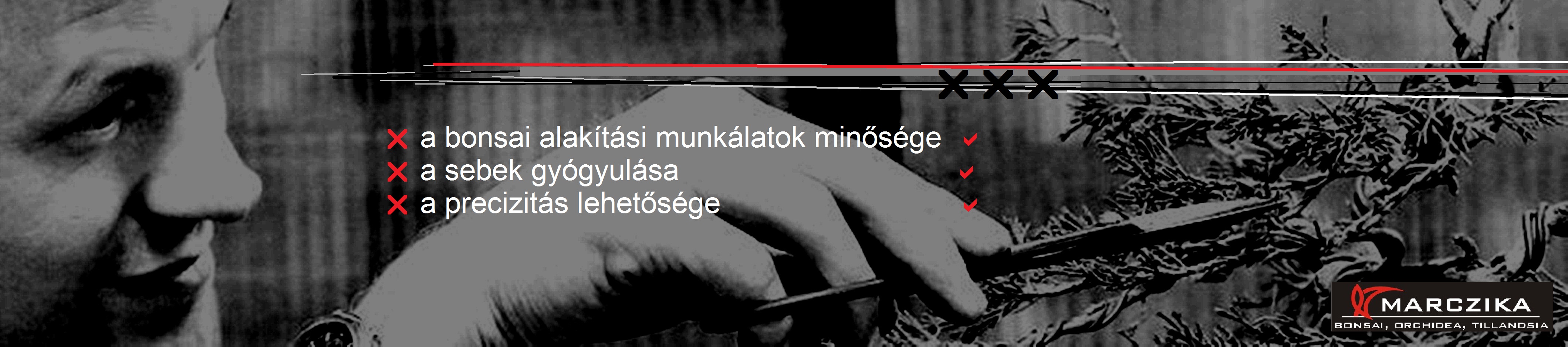 Speciálisan bonsai alakításra kialakított szerszámok, bonsai szerszámok.